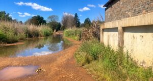 DA sounds the alarm to SAHRC over dangerous Kuruman sewage spill