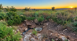 DA reports three-week sewage spill in Gamagara to Green Scorpions