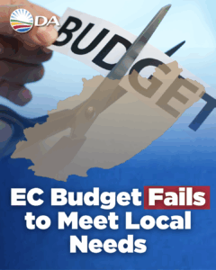 Budget allocations fail Eastern Cape’s growing needs