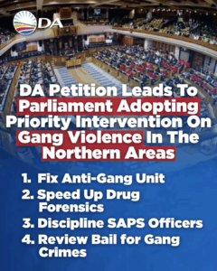 Parliament adopts report on DA petition for priority intervention to fight gang violence