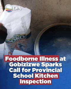 DA demands school food prep audit after Gobizizwe foodborne illness