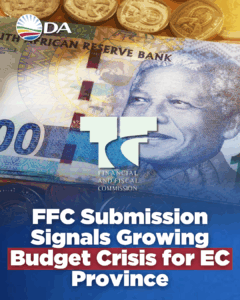 Eastern Cape faces fiscal cliff as FFC submission raises red flags for province