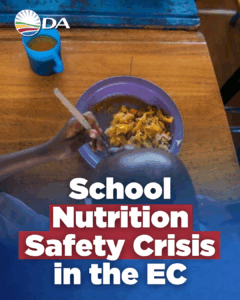 DA motion to safeguard school nutrition programme passes, putting learners first