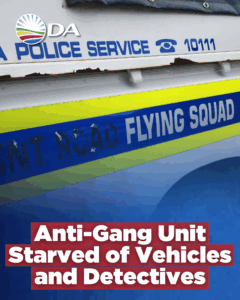 Nelson Mandela Bay oversight exposes systemic collapse of critical SAPS units
