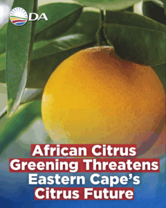 Quarantine measures in Nelson Mandela Bay must be reinforced to protect EC citrus exports