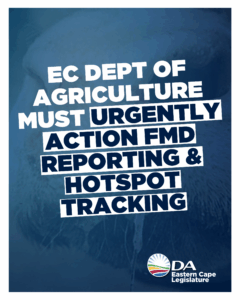 Foot-and-mouth disease in Eastern Cape requires urgent coordination and ground-level readiness