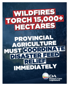 Urgent feed support needed for fire- and drought-affected farmers