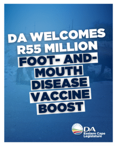 Democratic Alliance welcomes emergency funding for Foot-and-Mouth Disease vaccines