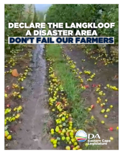 DA demands provincial disaster declaration following devastating storms in Langkloof