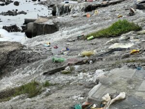 DA requests investigation into sewage spills in NMB’s Swartkops River