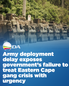 Army deployment delay exposes government’s failure to treat Eastern Cape gang crisis with urgency