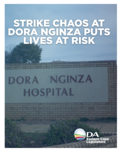 Dora Nginza strike raises urgent questions over patient safety