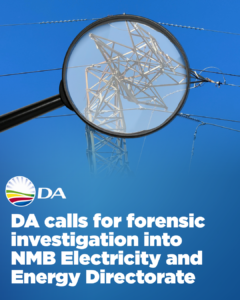 DA calls for forensic investigation into NMB Electricity and Energy Directorate