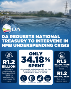 DA requests National Treasury to intervene in NMB underspending crisis
