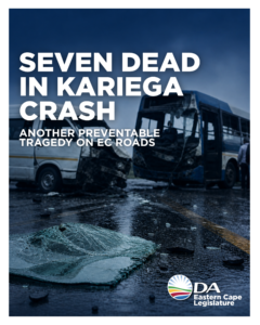 Seven killed in Kariega crash: DA requests urgent accountability