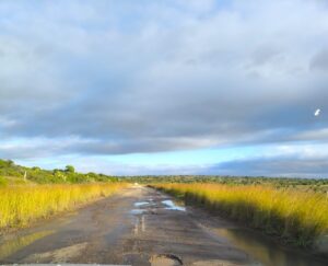 DA requests provincial intervention on dangerous R350 road between Bedford and Makhanda