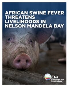 DA demands urgent action after African swine fever outbreak in Nelson Mandela Bay