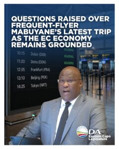 Questions raised over frequent-flyer Mabuyane’s latest trip as the EC economy remains grounded