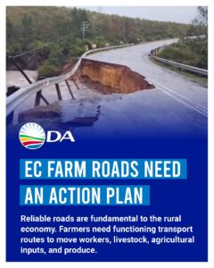 Eastern Cape farm roads need an action plan, not more talk