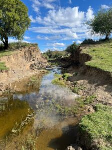 DA calls for repairs on crucial Koshuisdam in Kopanong