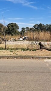 DA calls for urgent action to address hazardous illegal dumping in Moqhaka