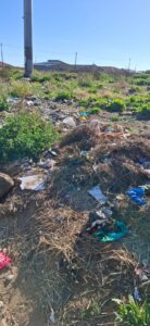 DA calls for urgent clean-up campaign in Moqhaka