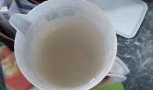 DA pushes national action on Mafube water crisis
