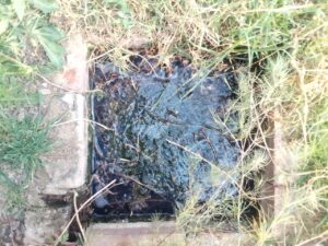 DA calls for urgent action for overflowing sewage pits Edenville