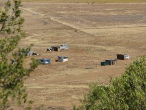 Mangaung mayor prioritises rhetoric over housing dignity
