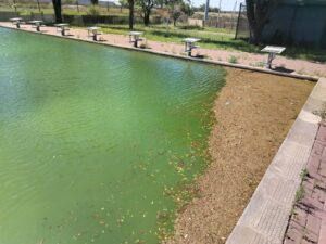 DA calls for Heidedal swimming pool to be reopened and further drownings prevented