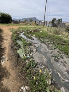 DA pushes for urgent municipal intervention to end sewage crisis in Itumeleng, Zastron