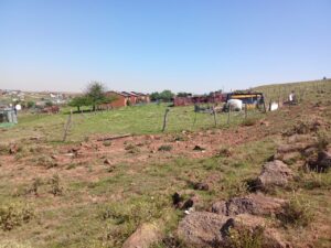 DA to table urgent motion for fair and dignified housing allocations in Dihlabeng