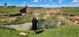 DA questions due diligence in the Marquard Dam tender amid ongoing legal uncertainty