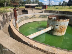 DA to escalate Reitz sewage works crisis to protect public health