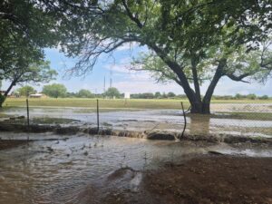 DA prompts Nala to fix blocked stormwater system at school sports grounds