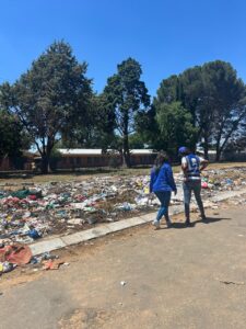 Immediate action needed to clean up illegal dumping sites in Thabong, Ward 29