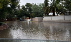 Mangaung’s neglected infrastructure hits residents and businesses hard