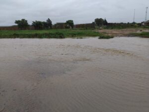 DA pushes for rapid flood relief as infrastructure failures hit communities