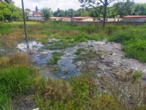 DA in Metsimaholo outraged as sewerage crisis in Ward 15 resurfaces due to municipal failure