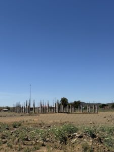 Little to celebrate in Xhariep District as ANC destination for January 8th celebrations