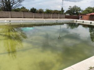 DA calls for urgent intervention to restore Reitz swimming pool
