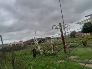 DA demands urgent waste cleanup in Ezenzeleni after festive season sanitation collapse