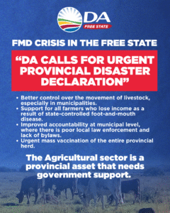 DA urges Free State MEC to declare Foot-and-Mouth Disease a disaster as controls fail