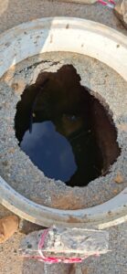 DA demands urgent clean-up and accountability in Allanridge