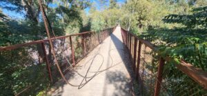 DA seeks urgent municipal response on dangerous Kroonstad pedestrian bridge