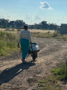 DA calls for urgent restoration for residents of Koppies Extension 5 left without reliable water supply