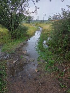 DA calls for urgent pedestrian safety upgrades in Ngwathe as learners risk lives in flooded conditions