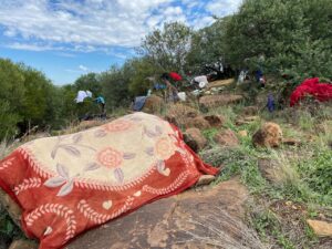 DA tables motion to restore dignity and care for the homeless in Mangaung