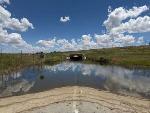 DA pushes to end delays threatening Phakisa raceway investment