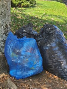 DA calls for urgent repairs to weighbridge in Dihlabeng